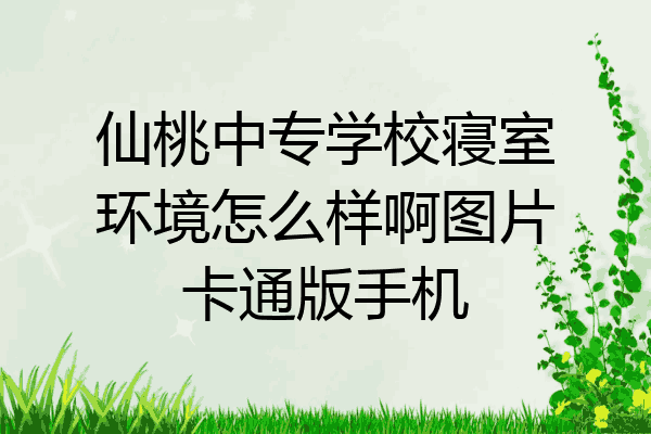 仙桃中专学校寝室环境怎么样啊图片卡通版手机