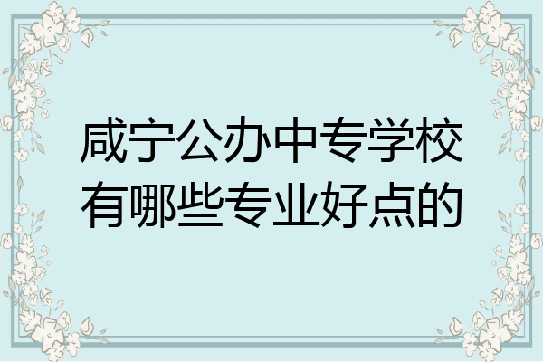 咸宁公办中专学校有哪些专业好点的