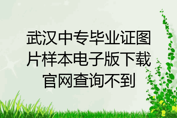 武汉中专毕业证图片样本电子版下载官网查询不到