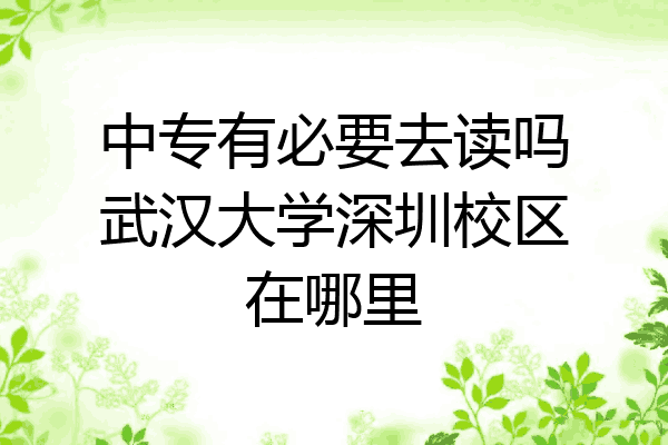 中专有必要去读吗武汉大学深圳校区在哪里