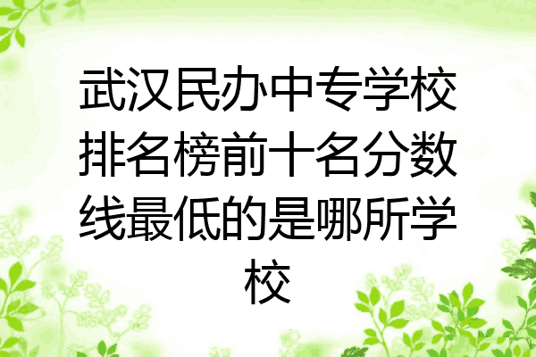 武汉民办中专学校排名榜前十名分数线最低的是哪所学校