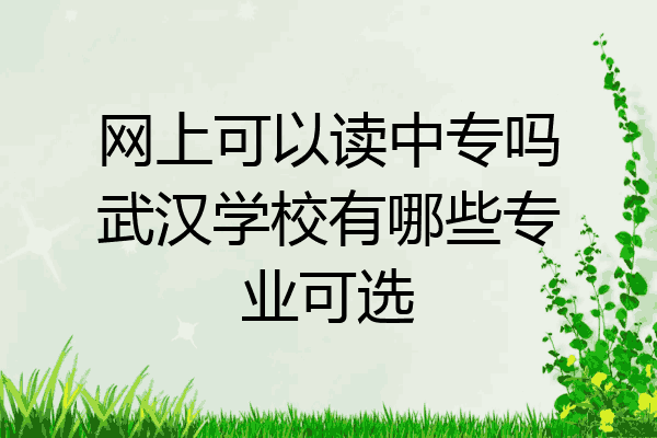 网上可以读中专吗武汉学校有哪些专业可选