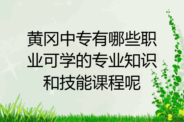 黄冈中专有哪些职业可学的专业知识和技能课程呢