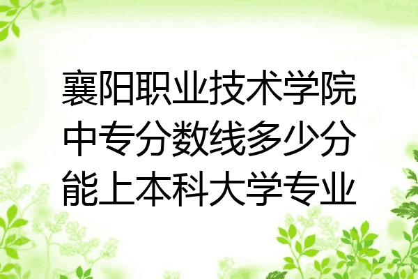襄阳职业技术学院中专分数线多少分能上本科大学专业