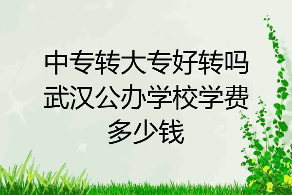 中专转大专好转吗武汉公办学校学费多少钱