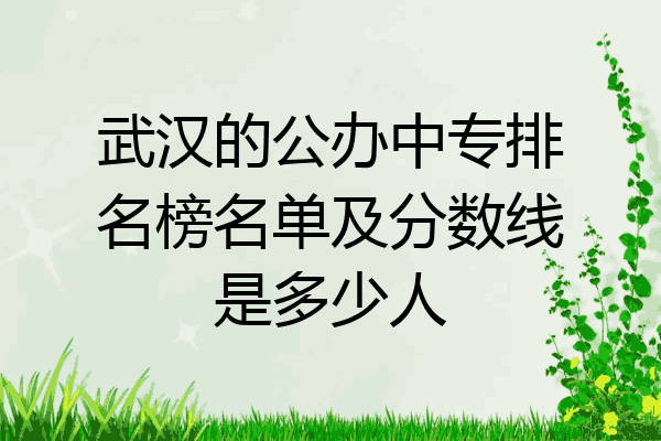 武汉的公办中专排名榜名单及分数线是多少人
