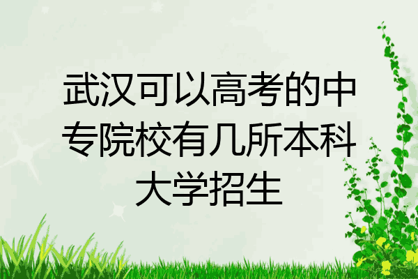 武汉可以高考的中专院校有几所本科大学招生