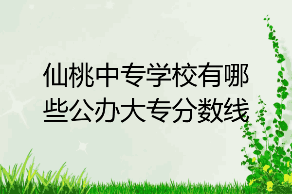 仙桃中专学校有哪些公办大专分数线