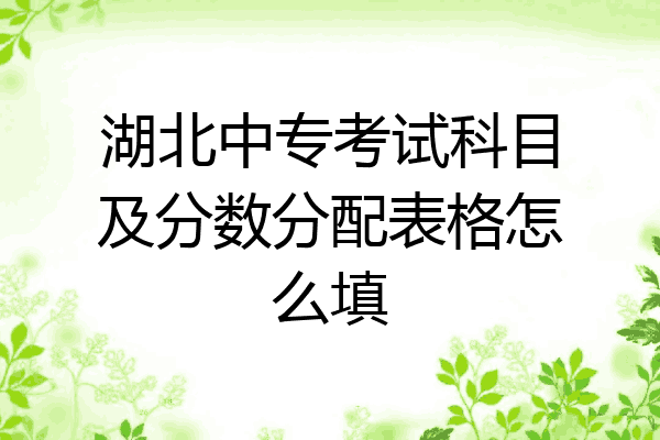 湖北中专考试科目及分数分配表格怎么填