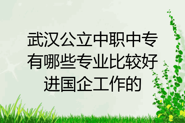 武汉公立中职中专有哪些专业比较好进国企工作的