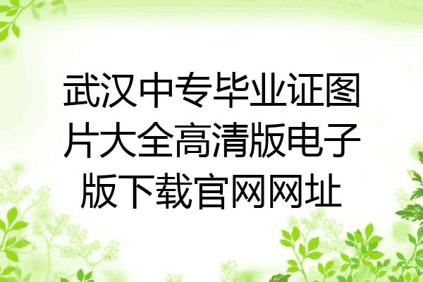 武汉中专毕业证图片大全高清版电子版下载官网网址