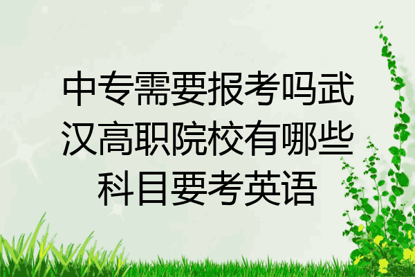 中专需要报考吗武汉高职院校有哪些科目要考英语