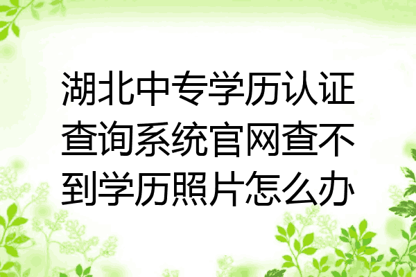 湖北中专学历认证查询系统官网查不到学历照片怎么办