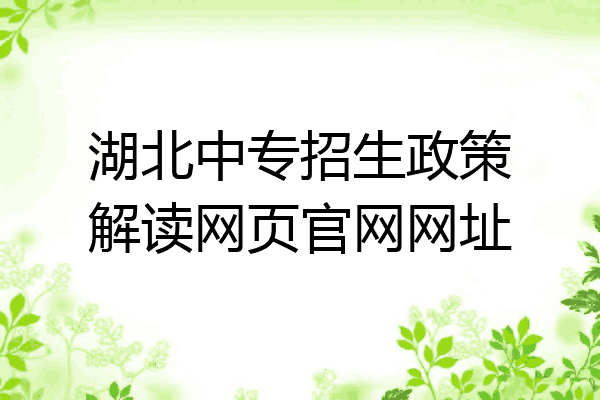 湖北中专招生政策解读网页官网网址