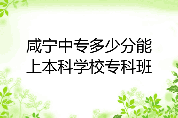 咸宁中专多少分能上本科学校专科班