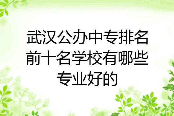 武汉公办中专排名前十名学校有哪些专业好的