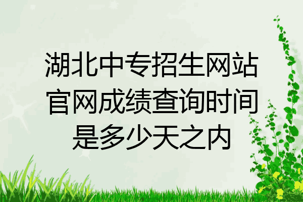 湖北中专招生网站官网成绩查询时间是多少天之内