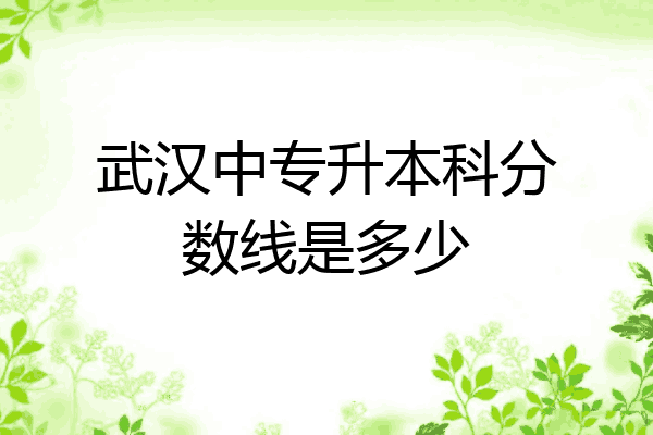 武汉中专升本科分数线是多少