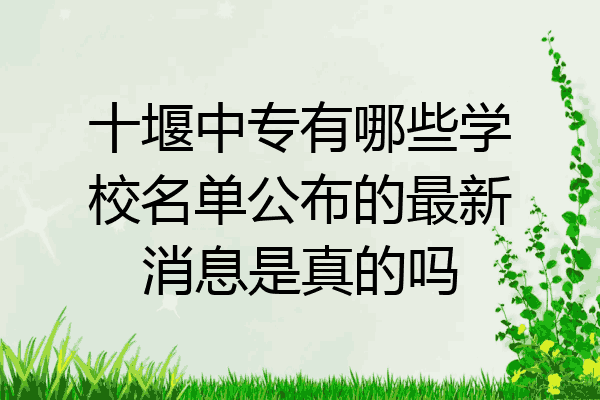 十堰中专有哪些学校名单公布的最新消息是真的吗