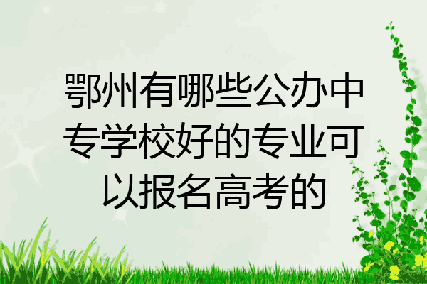鄂州有哪些公办中专学校好的专业可以报名高考的