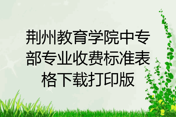 荆州教育学院中专部专业收费标准表格下载打印版