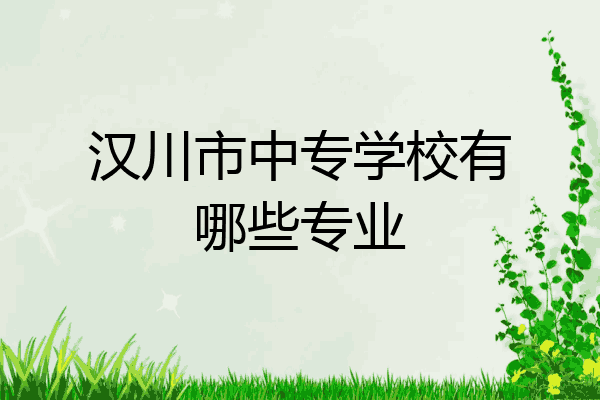 汉川市中专学校有哪些专业