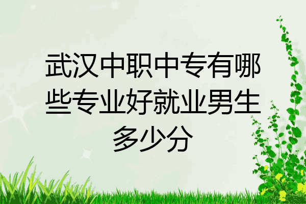 武汉中职中专有哪些专业好就业男生多少分