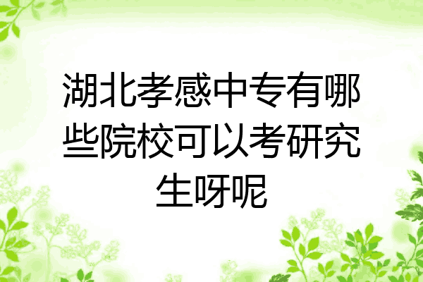 湖北孝感中专有哪些院校可以考研究生呀呢
