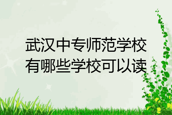 武汉中专师范学校有哪些学校可以读