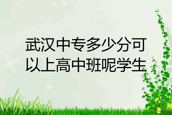 武汉中专多少分可以上高中班呢学生