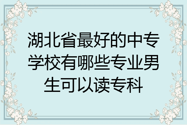 湖北省最好的中专学校有哪些专业男生可以读专科