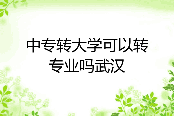 中专转大学可以转专业吗武汉