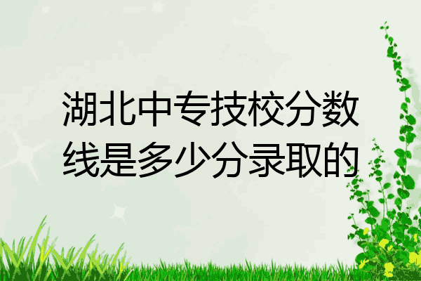 湖北中专技校分数线是多少分录取的