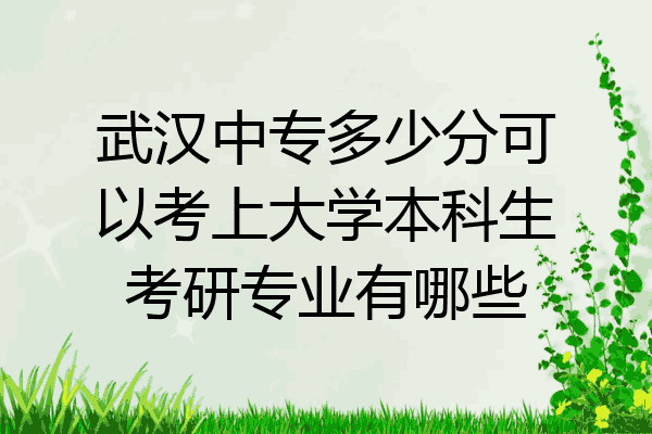 武汉中专多少分可以考上大学本科生考研专业有哪些