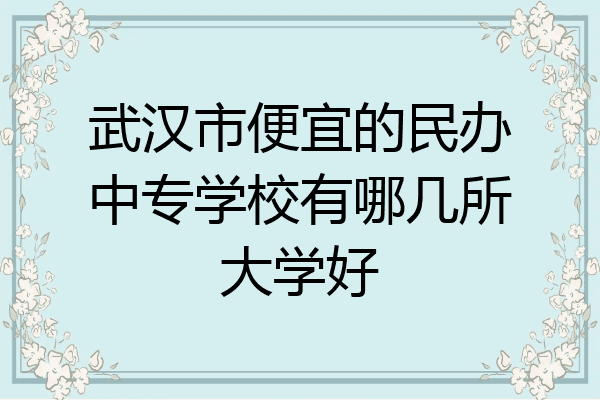 武汉市便宜的民办中专学校有哪几所大学好