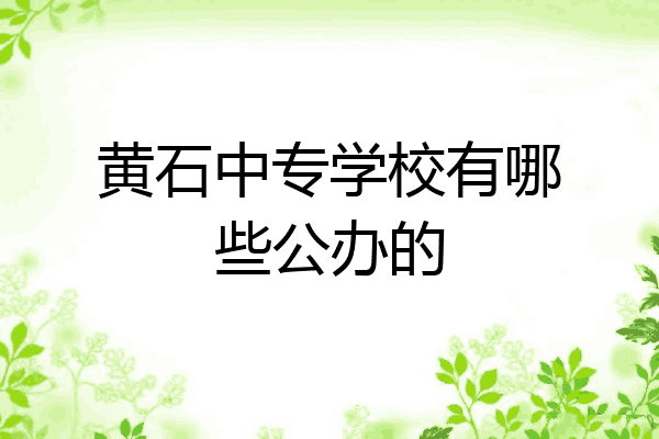 黄石中专学校有哪些公办的