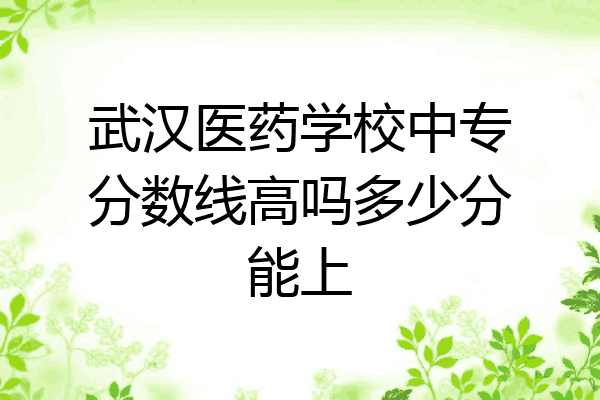 武汉医药学校中专分数线高吗多少分能上