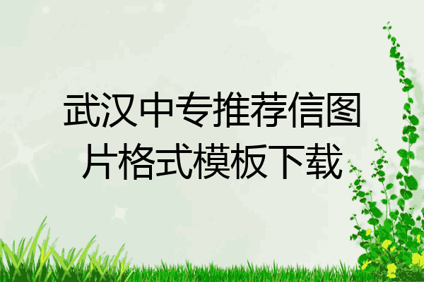 武汉中专推荐信图片格式模板下载