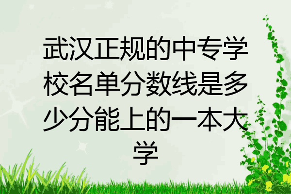 武汉正规的中专学校名单分数线是多少分能上的一本大学
