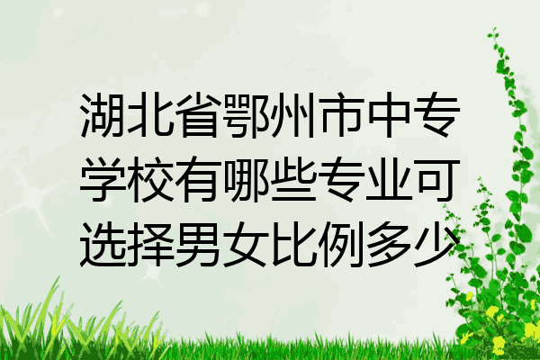 湖北省鄂州市中专学校有哪些专业可选择男女比例多少