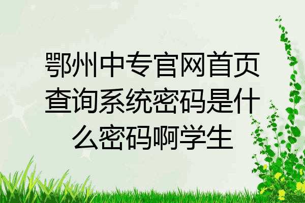 鄂州中专官网首页查询系统密码是什么密码啊学生