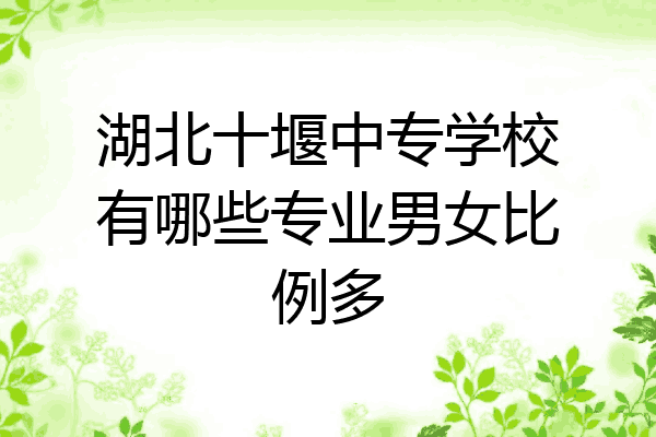 湖北十堰中专学校有哪些专业男女比例多