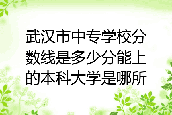 武汉市中专学校分数线是多少分能上的本科大学是哪所