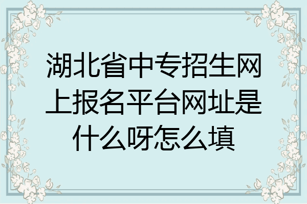 湖北省中专招生网上报名平台网址是什么呀怎么填