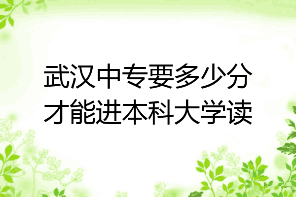 武汉中专要多少分才能进本科大学读