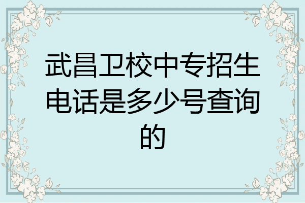 武昌卫校中专招生电话是多少号查询的