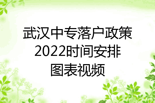 武汉中专落户政策2022时间安排图表视频