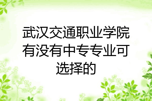 武汉交通职业学院有没有中专专业可选择的