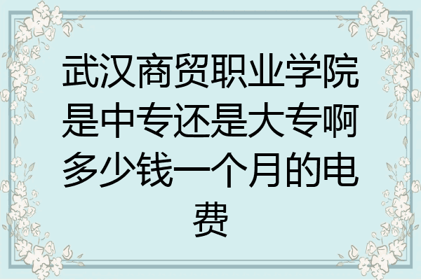 武汉商贸职业学院是中专还是大专啊多少钱一个月的电费