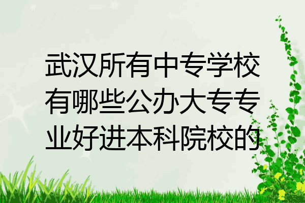 武汉所有中专学校有哪些公办大专专业好进本科院校的